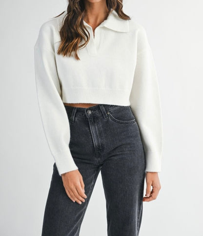 Cozy Sweeter Crop Top